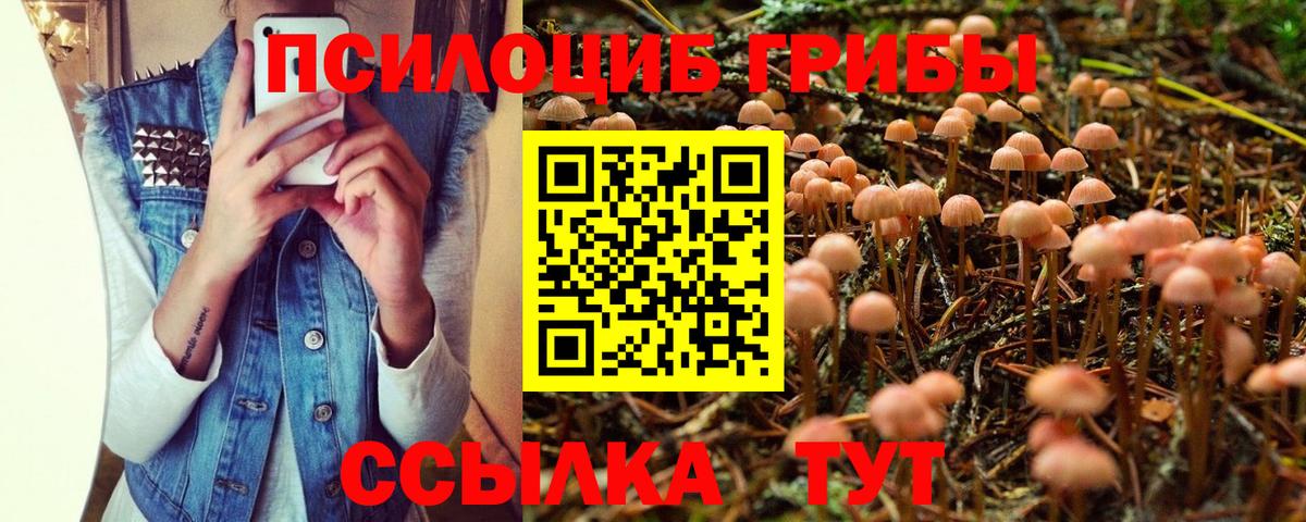 Галлюциногенные грибы Magic Shrooms Лесной