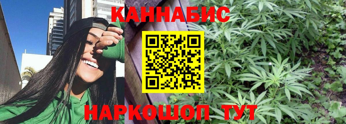 Лесной  Бошки марихуана тримм  Вход с VPN  Бошки Шишки White Widow  Бошки марихуана SATIVA & INDICA 